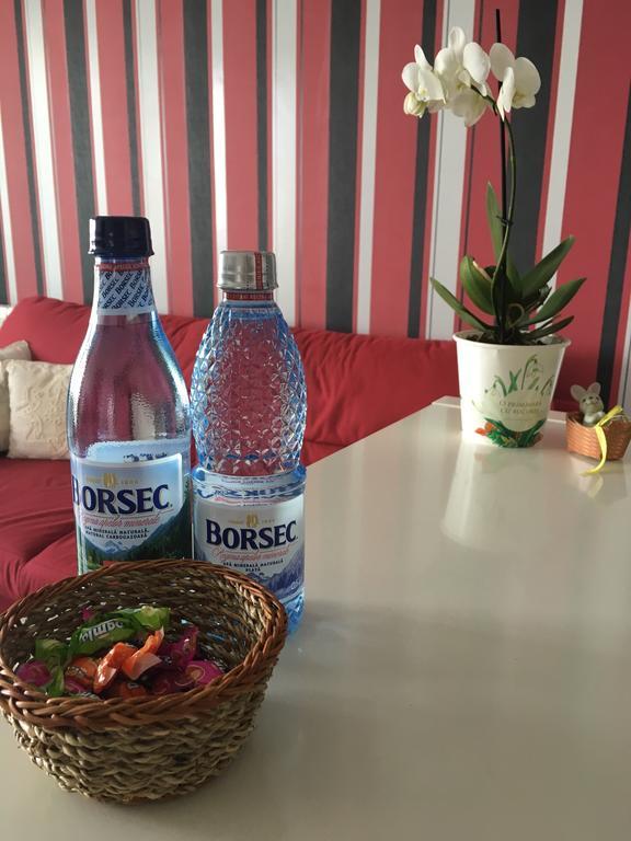 شقة Dora City Apartament كلوج-نابوكا المظهر الخارجي الصورة